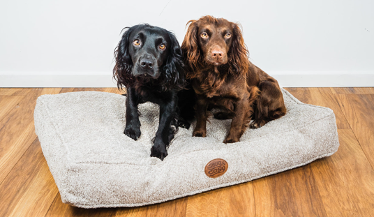 NEW Snug & Cosy Teddy Boucle  Rectangle Luxury Dog Loungers for Dogs MADE IN THE UK!