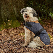 Load image into Gallery viewer, Gor Pets Worcester Quilted Dog Coat water resistant dog coat for wet dog walking days
