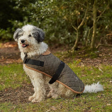 Load image into Gallery viewer, Gor Pets Worcester Quilted Dog Coat water resistant dog coat for wet dog walking days
