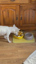 Load and play video in Gallery viewer, Honeycomb Enrichment Slow Feeder Dog Bowl - SodaPup
