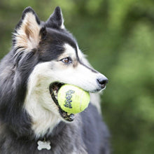 Load image into Gallery viewer, KONG SqueakAir® Ball - Tilly’s Natural Dog Treats
